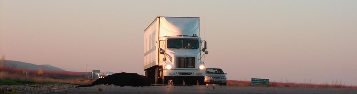 Assicurazione dei trasporti terrestri stipulata dallo spedizioniere o vettore per conto degli aventi diritto